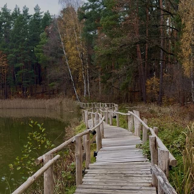 Holzsteg führt entlang des Ufers am See der Freundschaft in Königsbrück, umgeben von Wald und Schilf in herbstlicher Stimmung